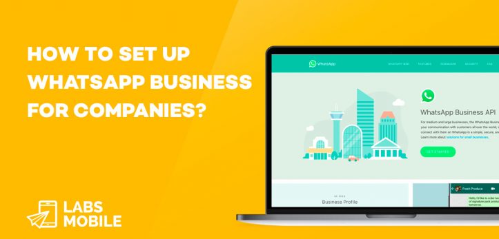 Whatsapp Business for companies
