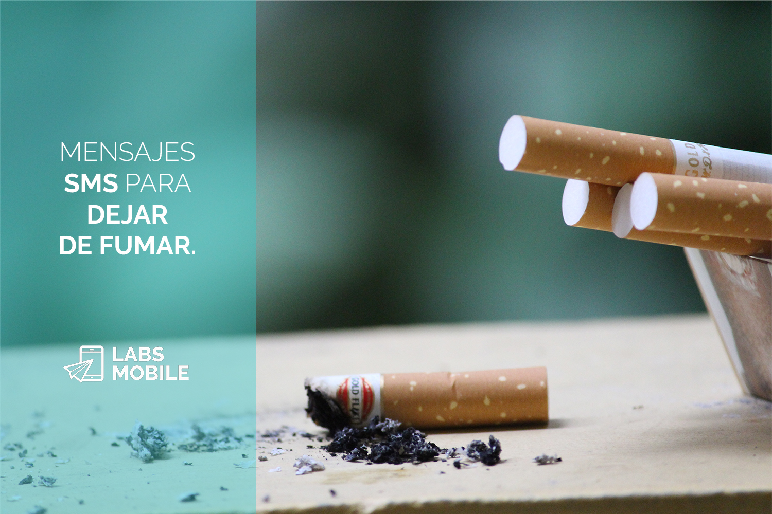 Noticias y artículos sobre el mundo del SMS y LabsMobile donde estarás enterado de las últimas novedades Blog de LabsMobile noticias y novedades