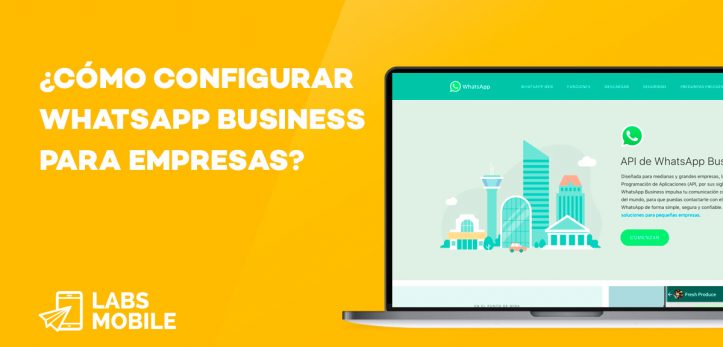 Whasapp Business Empresas